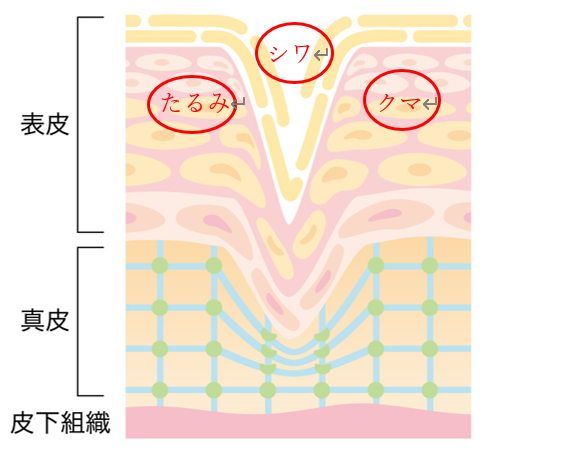 血漿線維芽細胞療法の利点は何ですか?