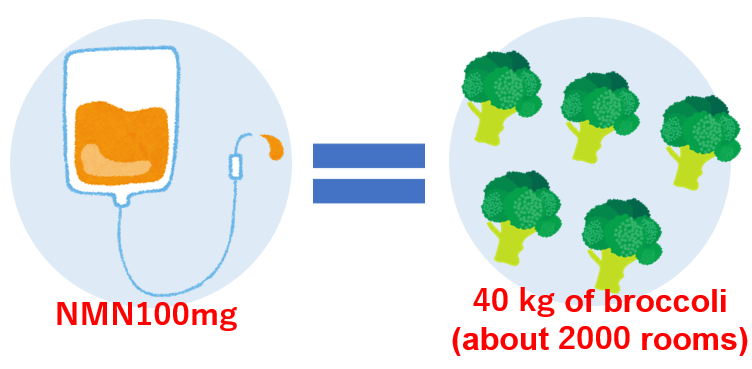 図解：NMN100mg=40 kg of broccoli(about 2000 rooms)