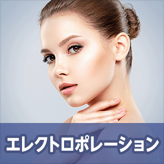 エレクトロポレーション（エレポレ）